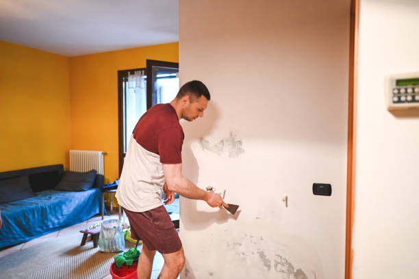 Best White Mold Remediation in Plainedge, NY